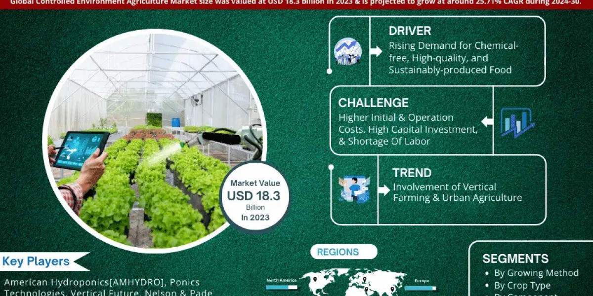 Controlled Environment Agriculture Market Growth, Key Players, Strategic Trends, and Opportunities