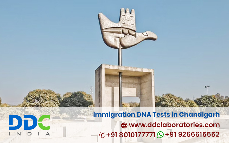 Immigration DNA Tests in Chandigarh - DDC Laboratories India