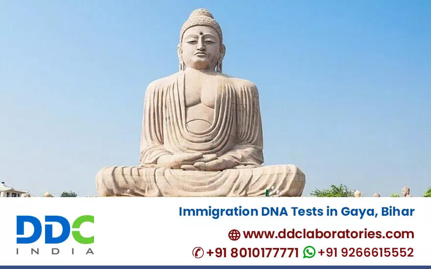 Immigration DNA Tests in Gaya, Bihar - DDC Laboratories India