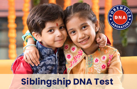 Sibling Ship DNA Test in India | Sibling DNA Testing