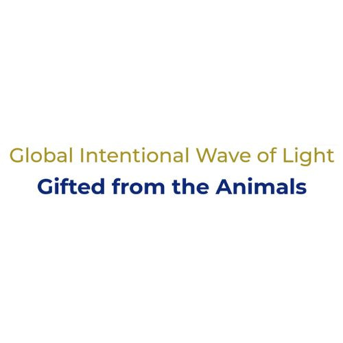 Global Intentional Wave of Light Profile Picture