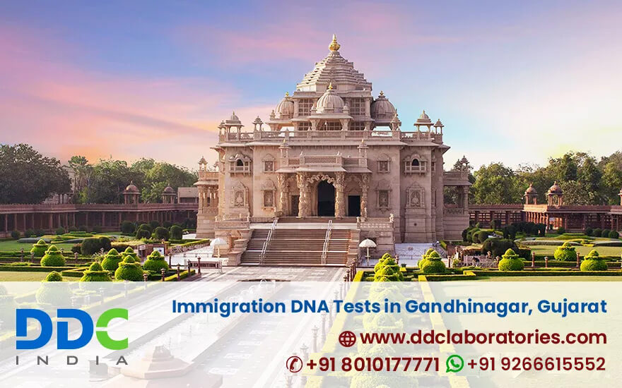 Immigration DNA Tests in Gandhinagar - Affordable DNA Tests