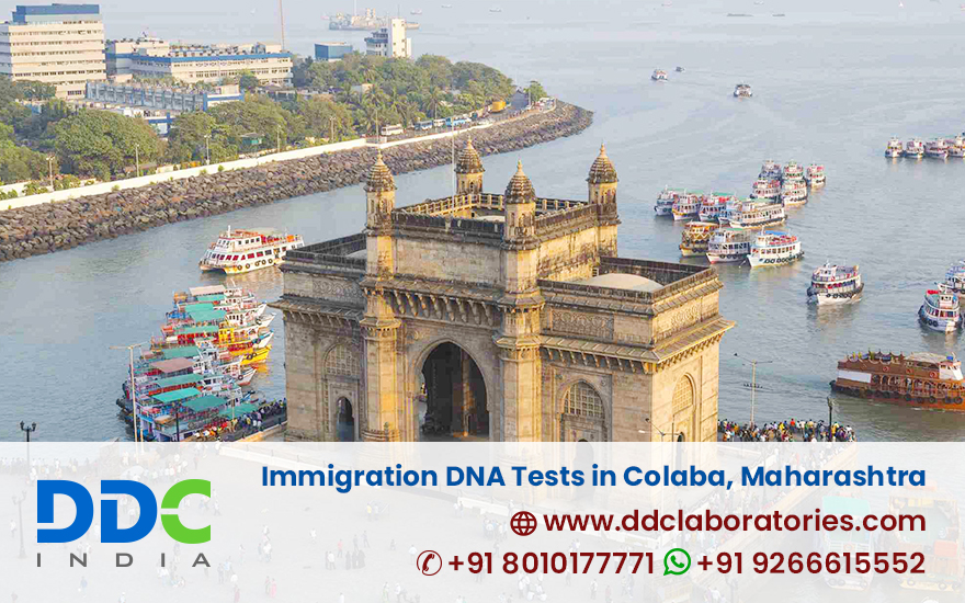 Immigration DNA Tests in Colaba - DDC Laboratories India